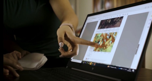 INFONA lanza sistema de alertas para combatir deforestación ilegal