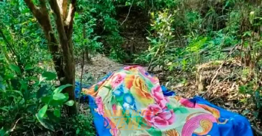 Asesinan de dos balazos a un hombre en San Pedro del Paraná