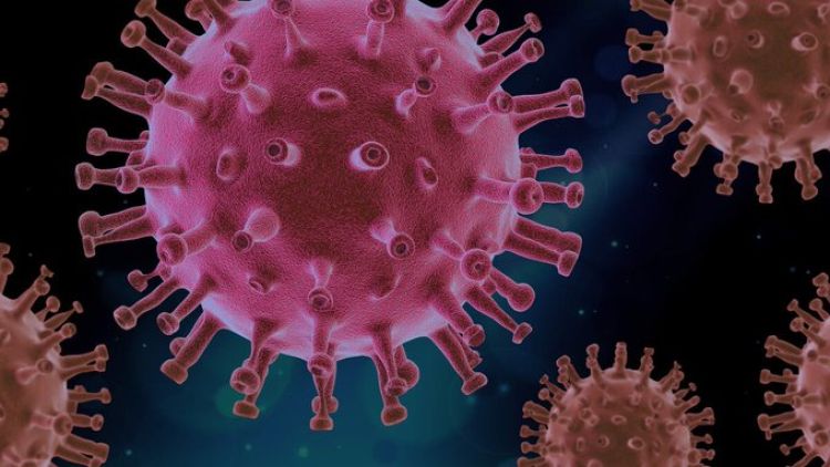 Detectan nueva variante de COVID-19 en Sudáfrica
