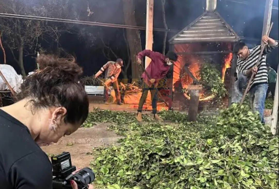 Película sobre el ciclo de la yerba mate en MS se estrena hoy en Ponta Porã