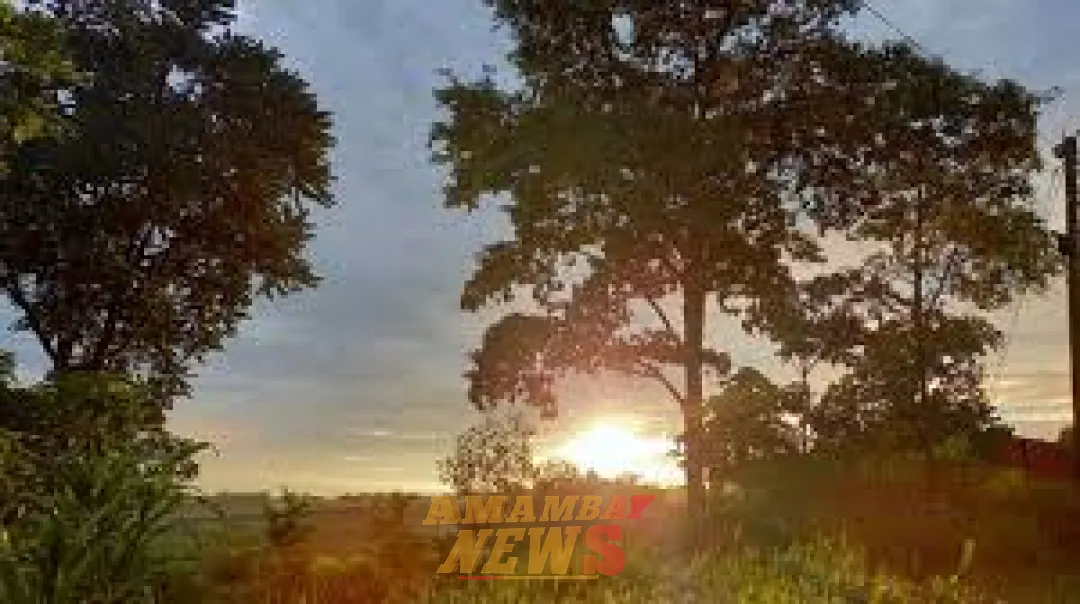 Lunes con ambiente fresco a cálido y vientos variables, prevé Meteorología