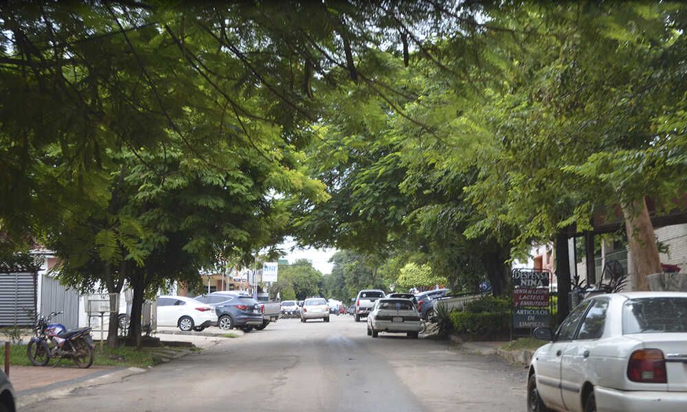 Jornada fresca a cálida para este martes