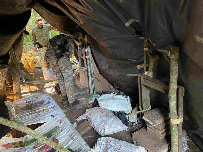 Destruyen centros clandestinos de producción de marihuana en Cerro Cora’i