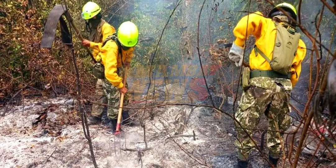 Bomberos luchan contra las llamas en San Bernardino
