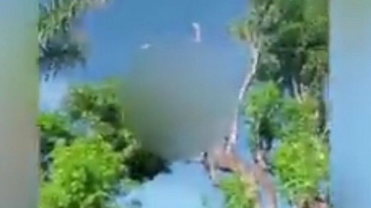 Un hombre muere electrocutado mientras podaba un árbol en Paraguarí