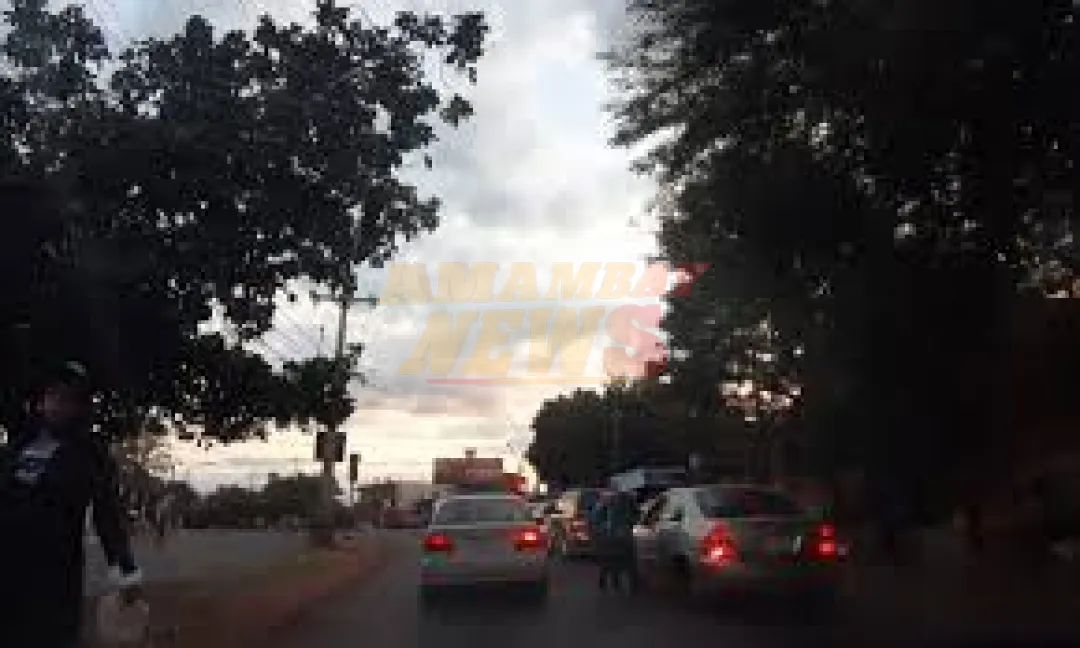 Pronostican día fresco a cálido y sin lluvias