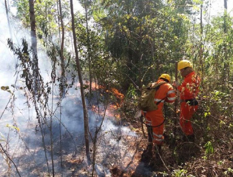 Reportan más de 25 mil focos de calor en el país