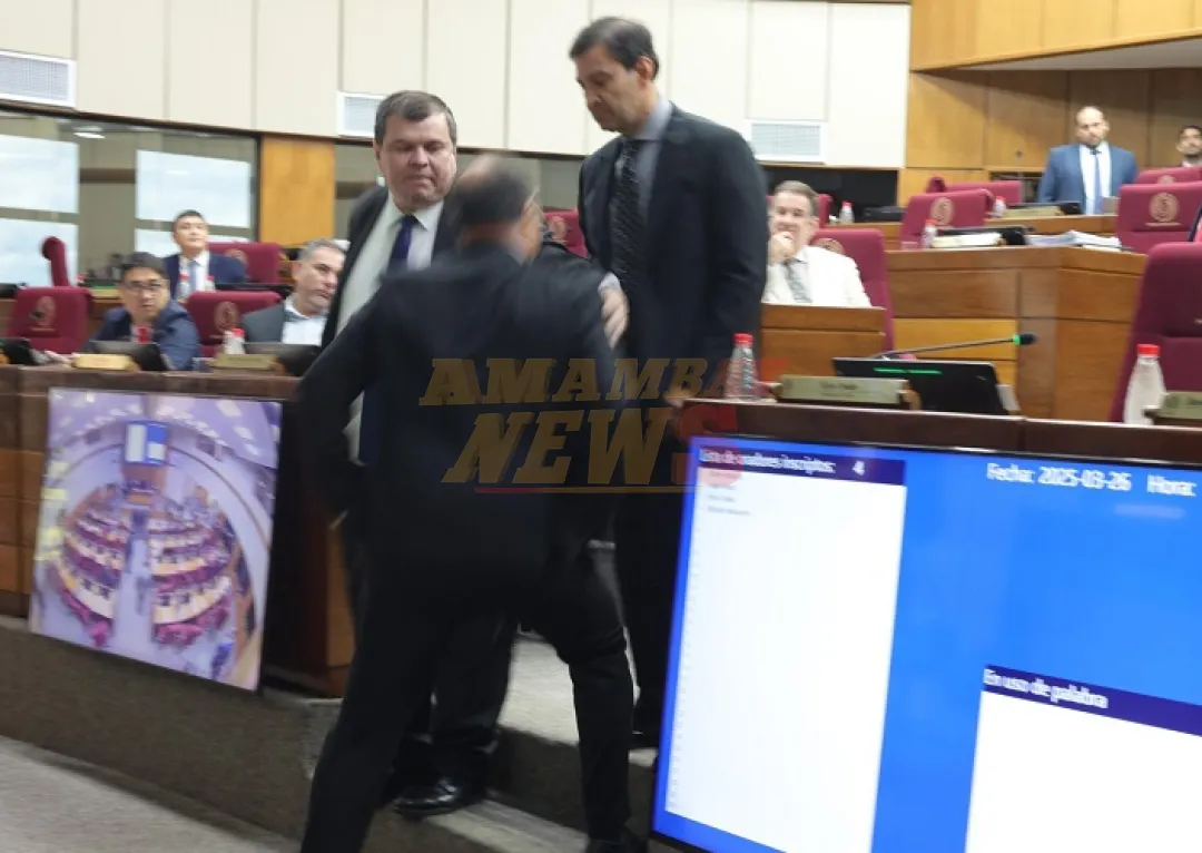 Impase entre Beto Ovelar y Juan Afara casi termina a “empujones”