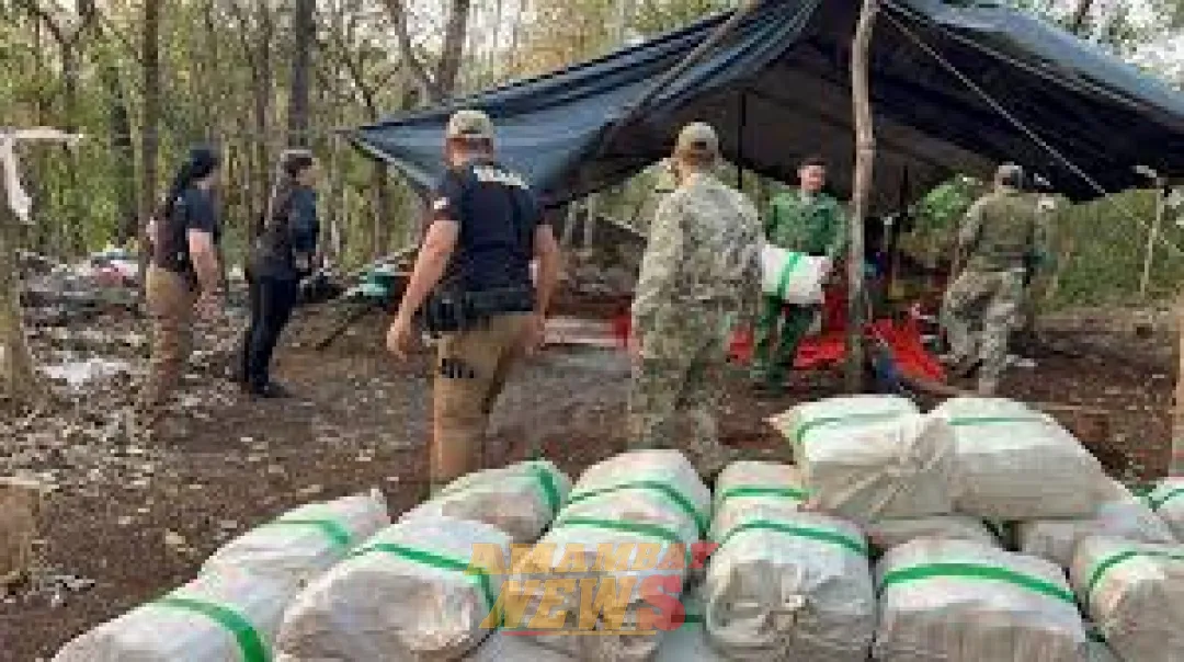 SENAD desarticuló 5 campamentos narcos y anuló 8,6 toneladas de marihuana
