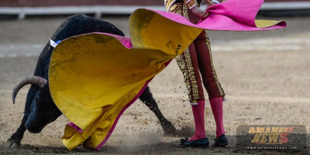 Petro sanciona ley que prohíbe las corridas de toros en Colombia