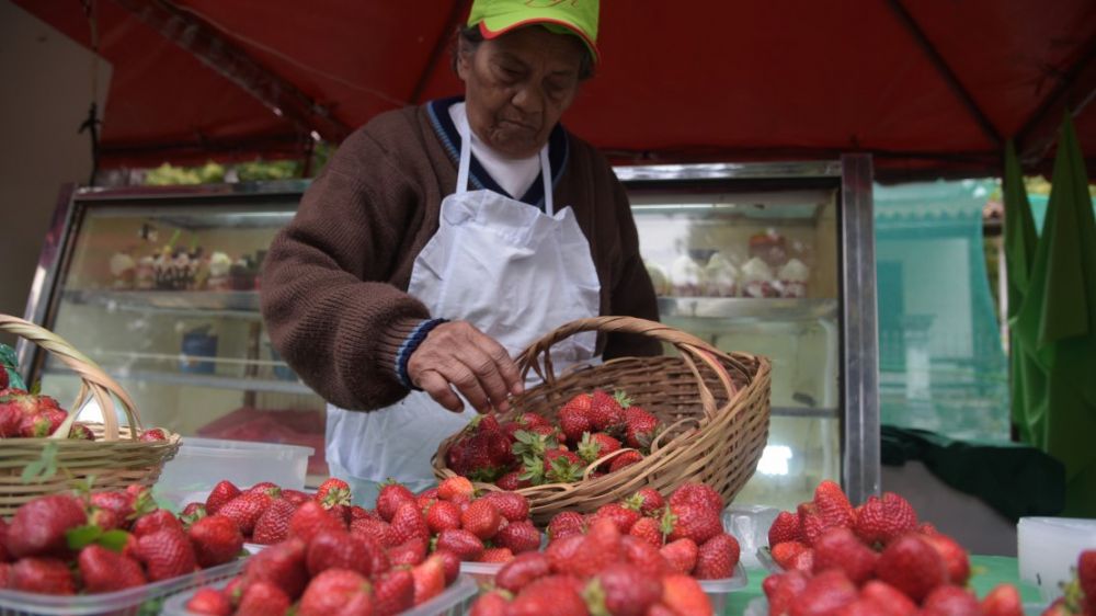 Tradicional Expo Frutilla arranca este sábado en Areguá