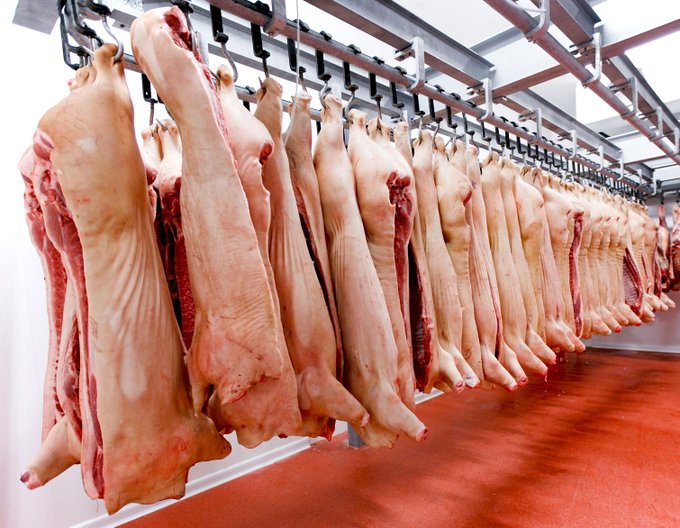 Paraguay envía primer cargamento de carne porcina a Taiwán