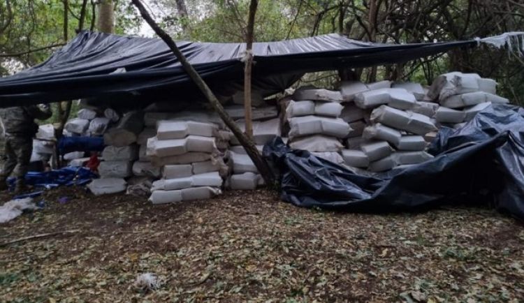 SENAD incautó casi 22 toneladas de marihuana en Amambay