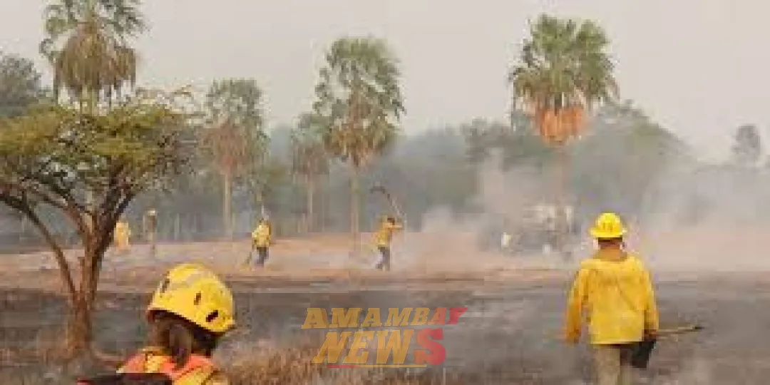 Tras rendir cuentas, bomberos amarillos recibieron ₲ 6.750 millones