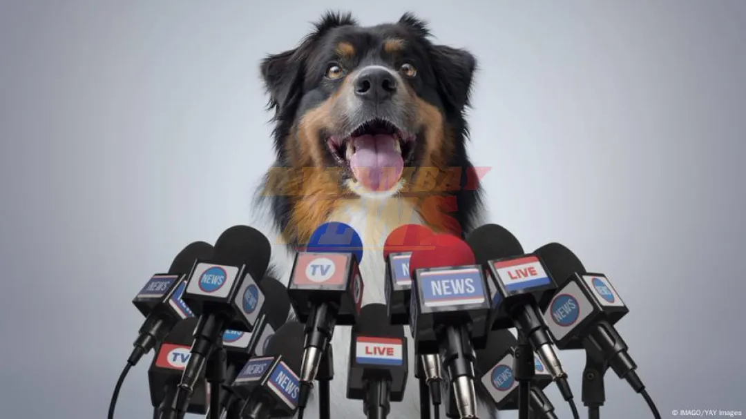 Científicos analizan si los perros podrían aprender a hablar