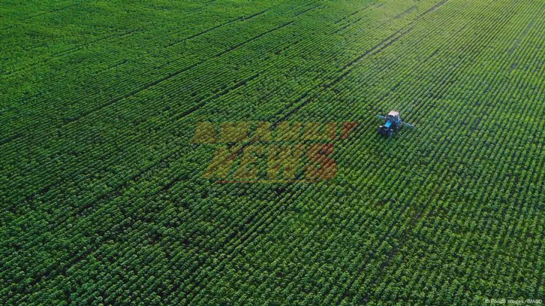 Solo un país puede alimentarse solo, según estudio