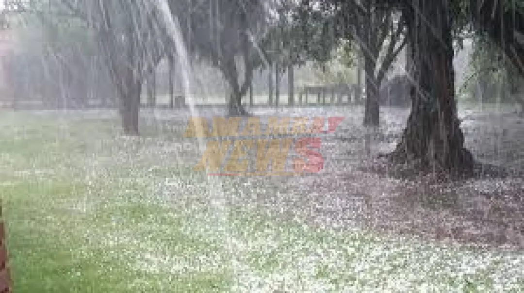 Lluvias y tormentas eléctricas marcarán el clima de este domingo día de la Primavera