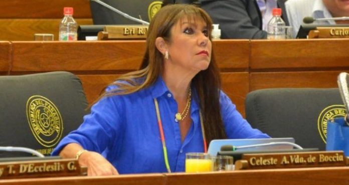 Celeste Amarilla: «Si queremos llenamos la plaza y quemamos el Congreso Nacional»