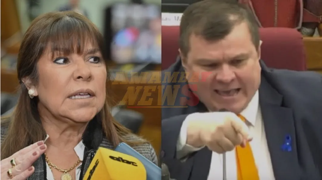 Fuerte cruce en el Senado entre Dionisio y Celeste Amarilla