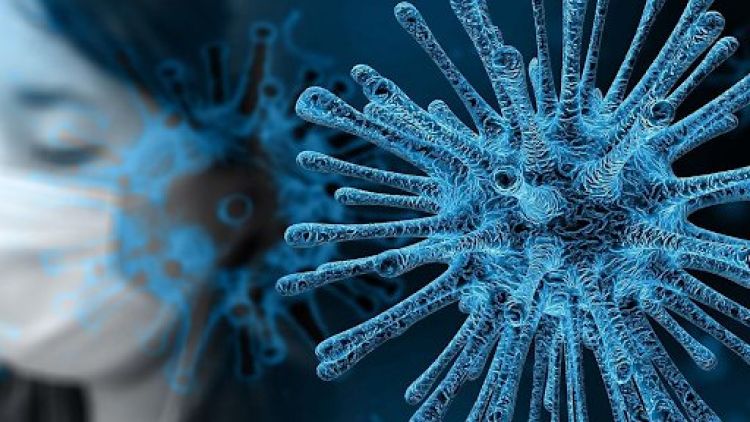 Salud reporta cifra récord de 11 muertos y más de 630 contagios de Covid-19