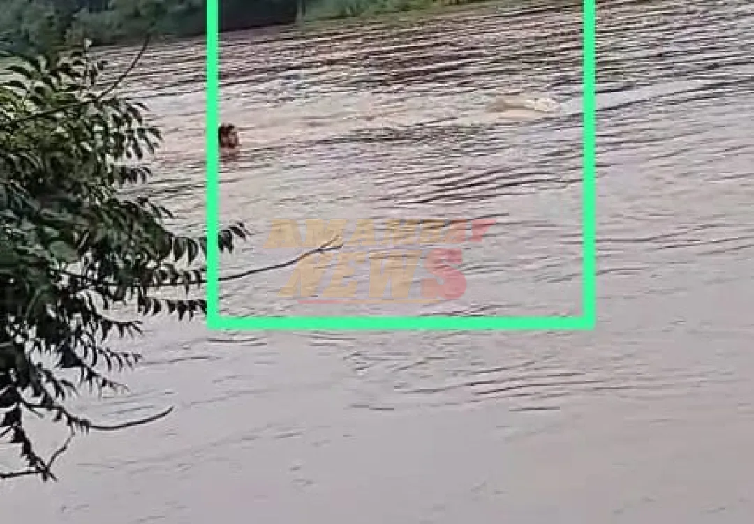 Furgoneta con merienda escolar cae al río Monday al intentar abordar una balsa