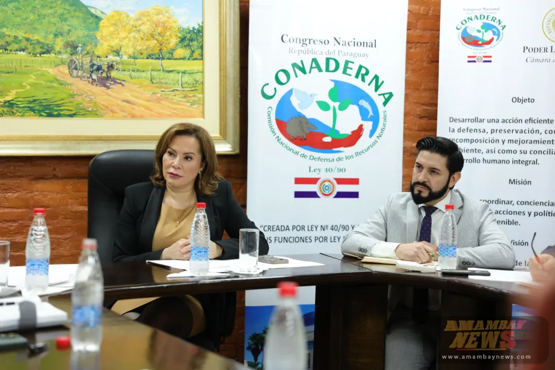 Camioneta de contrabandista será usada por senadora