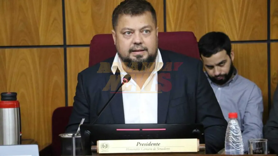 Senador dice que Gobierno ya debe intervenir sobre precios de la carne