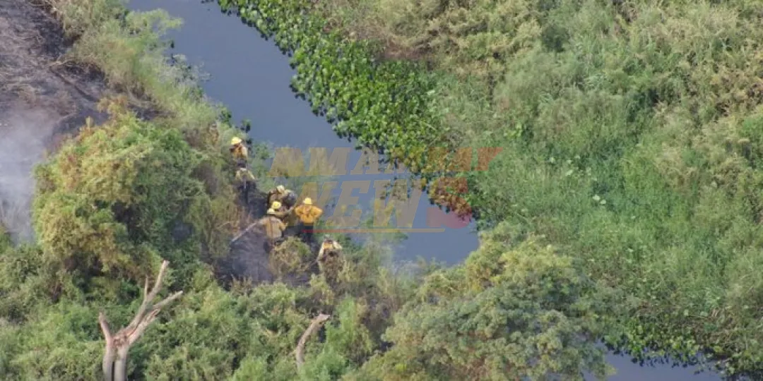 Ya son más de 34 mil hectáreas afectadas por los incendios forestales en el país
