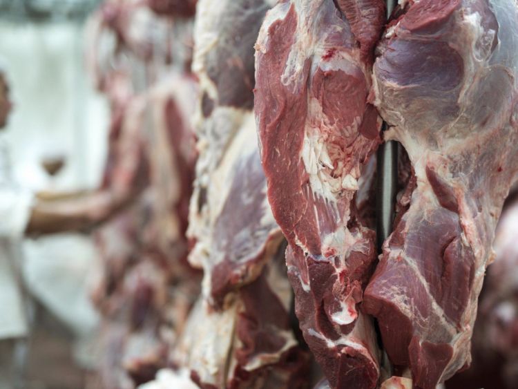 Gobierno asegura que Paraguay redujo su dependencia del mercado ruso de la carne