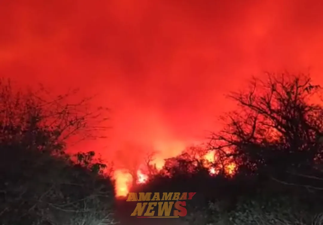 Cerro Chovoreca: Fuego sin control