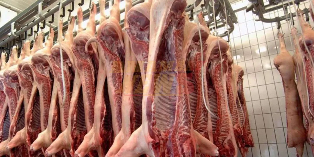 Productores porcinos apuestan a un “boom social” e inclusión de mipymes en exportación