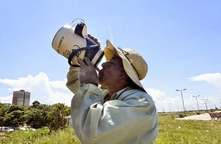 Un poco de alivio: máxima de solo 30°C para hoy