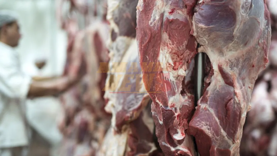 Paraguay se posiciona entre los 10 principales exportadores de carne vacuna del mundo