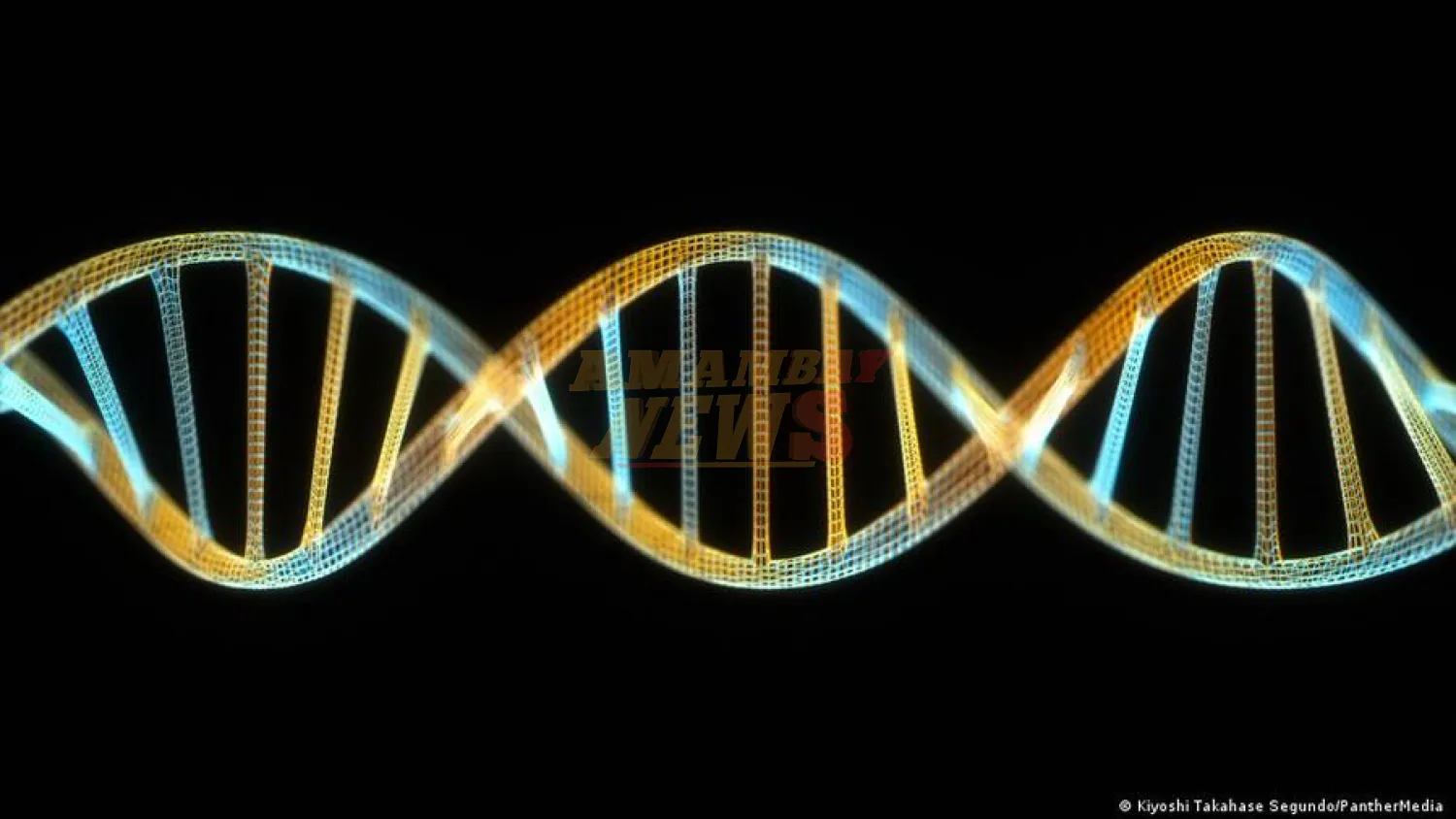 Google crea IA para leer la gramática de la vida