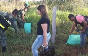 Recusación  frena alegatos finales en juicio a narcoconcejal y policía de Amambay