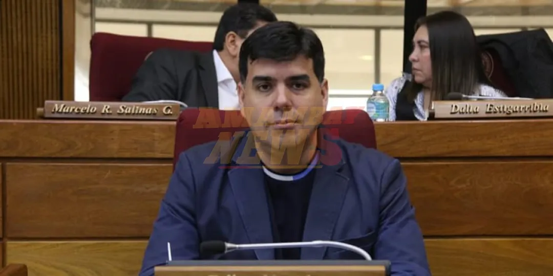 El TEI debe desconvocar elecciones liberales ante falta de máquinas, sostiene Vaesken