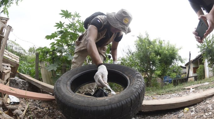 Dan a conocer el ranking de ciudades con más criaderos de mosquitos