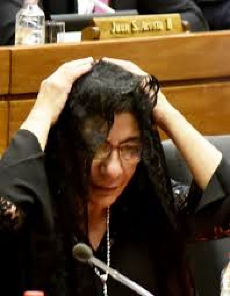 Diputada pasa de Añetete a Honor Colorado