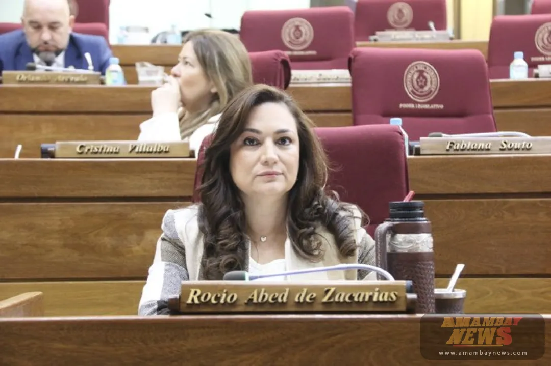 Rocío Abed exige esclarecer muertes en hospital de Hernandarias y pide la renuncia de directora