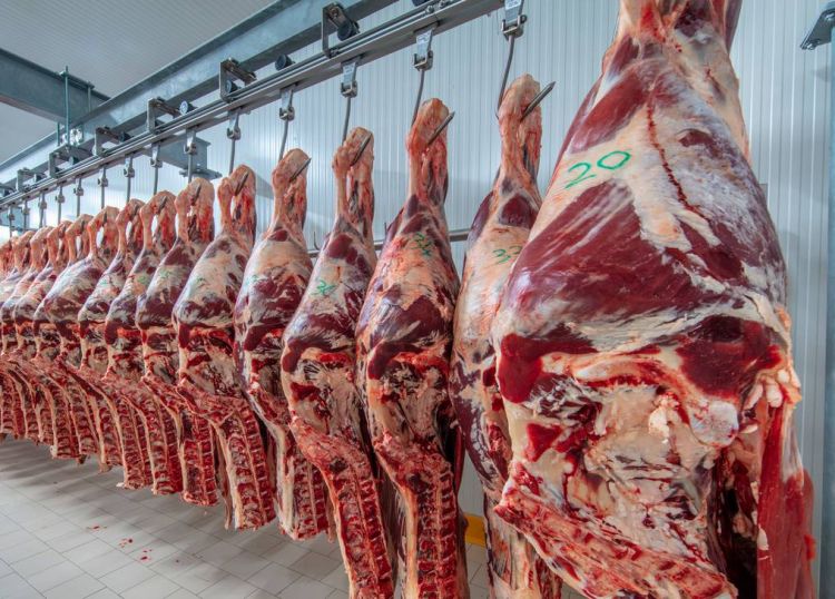 Paraguay exportó carne bovina por US$ 357 millones en los primeros tres meses