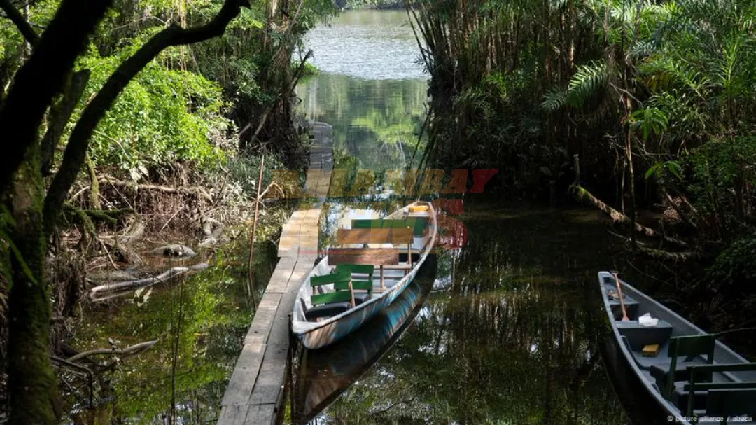 La protección ambiental en América Latina, en caída libre