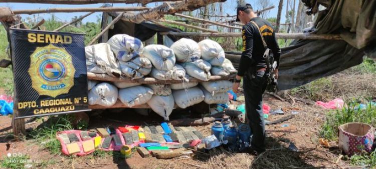 Senad detectó más de 1500 kilos de marihuana en campamento narco