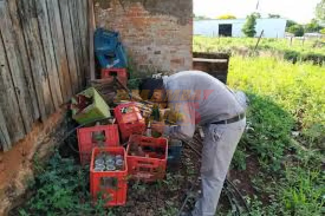 Salud Pública pide reforzar medidas de prevención tras incremento de casos de dengue