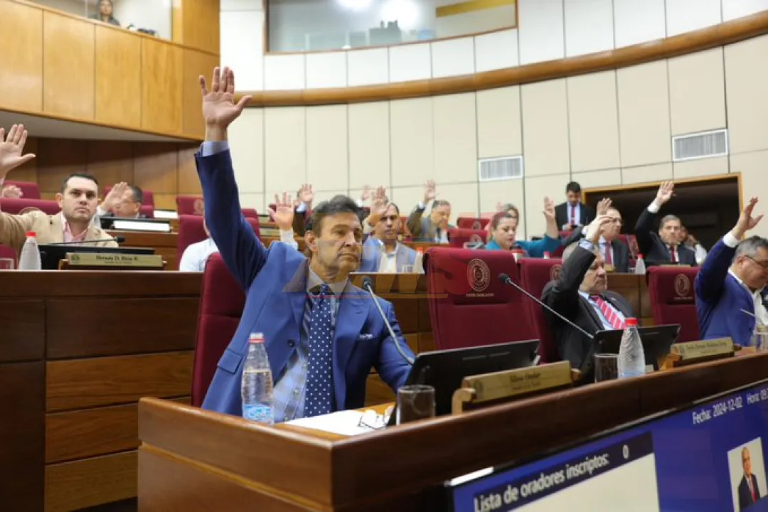 Senado modifica el reglamento y elige a “Bachi” Núñez como presidente hasta el 2027