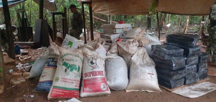 Senad incauta más de 23 toneladas de marihuana en Canindeyú