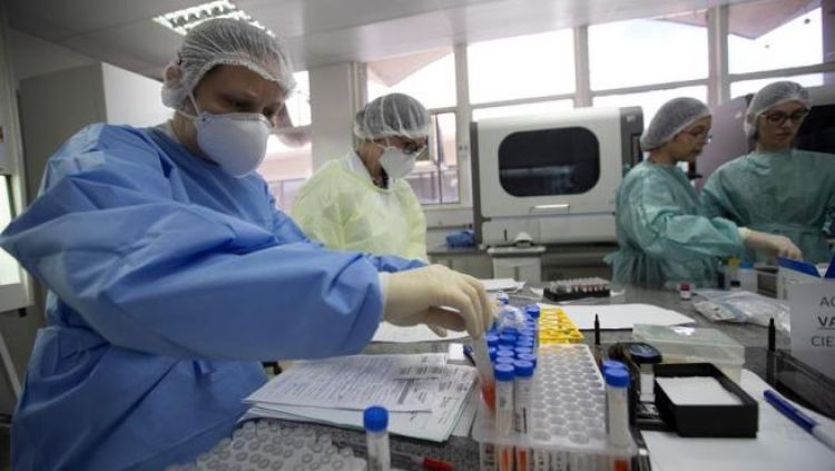 Australia comienza pruebas preclínicas de dos vacunas contra el coronavirus