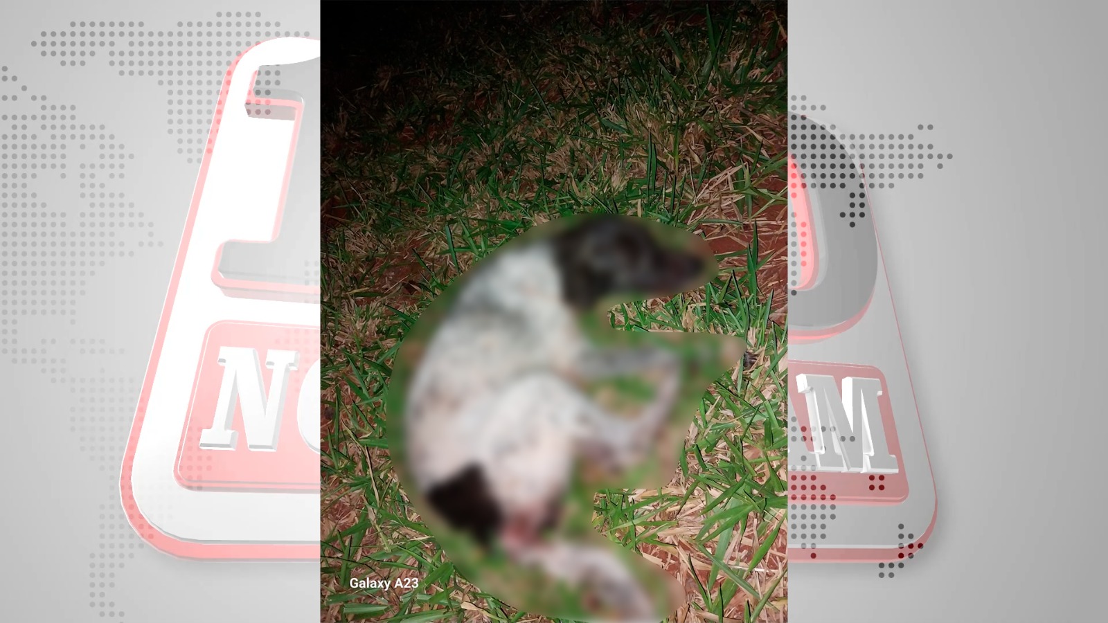 Cerro Corá: Hombre fue detenido por presuntamente violar a un animal canino