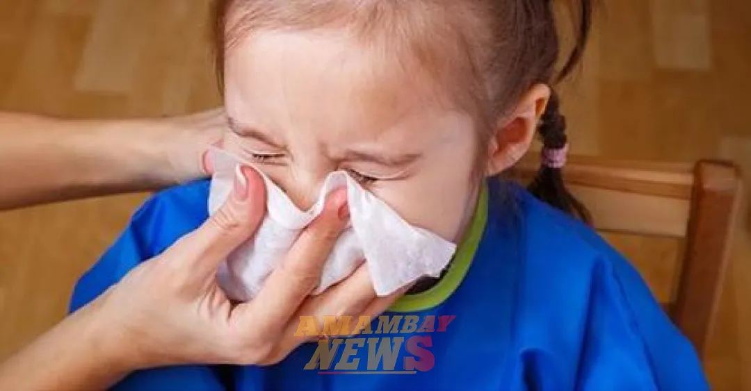 Virus Sincitial Respiratorio (VSR): una preocupación sanitaria