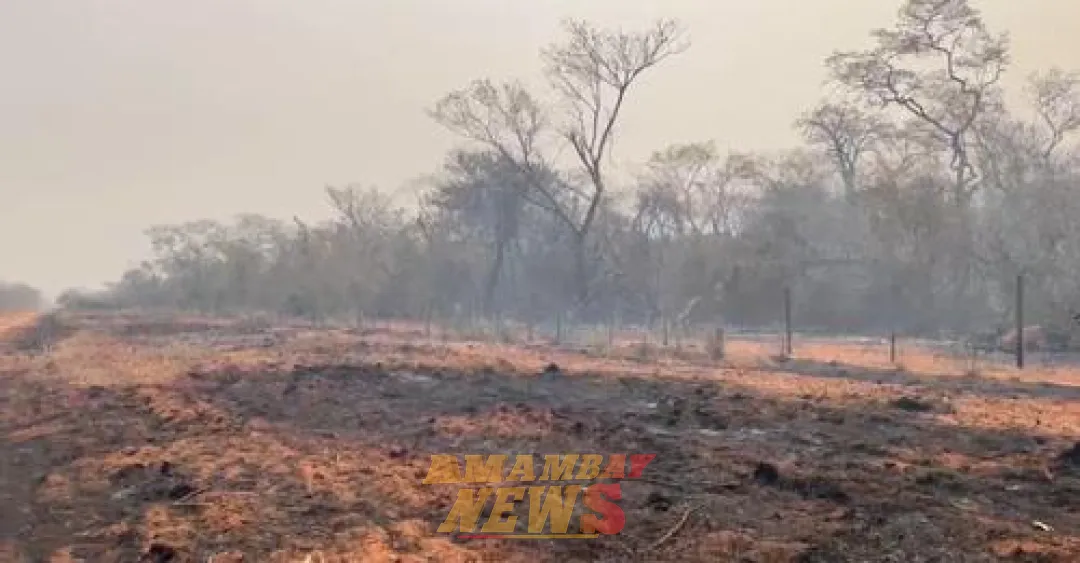 Incendios forestales ya consumieron más de 2 mil hectáreas del cerro Chovoreca