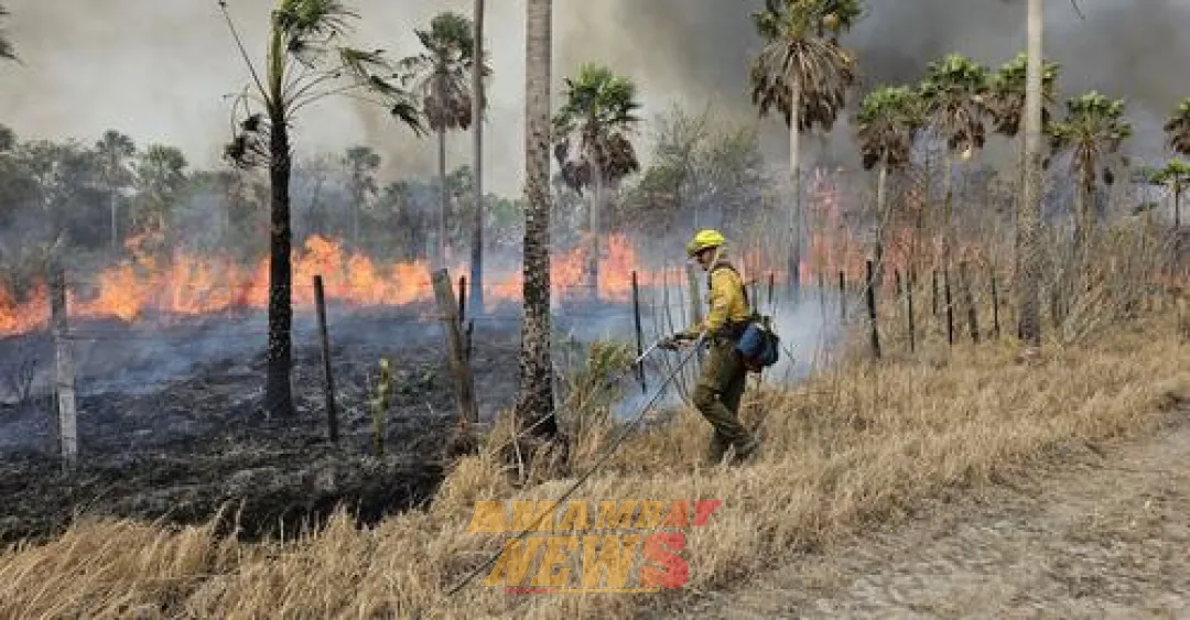 Fiscalía está detrás de dos fincas por el voraz incendio en la zona del Cerro Chovoreca